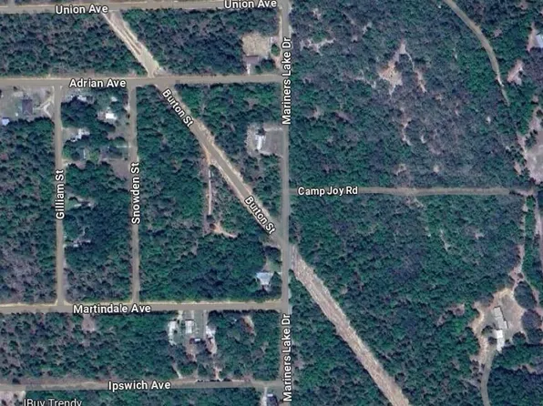 0 BURTON Street, Interlachen, FL 32148