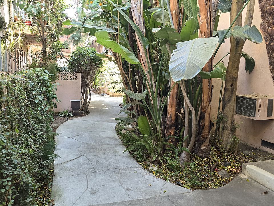 Lush, green pathway within property