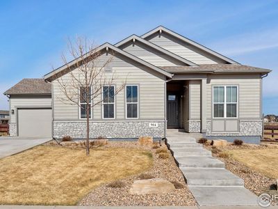 904 Hitch Horse Dr, Windsor, CO, 80550