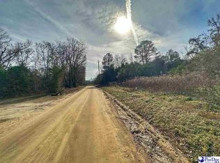 Lucius Rd, Dillon, SC 29536