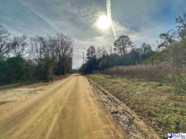 Lucius Rd, Dillon, SC 29536