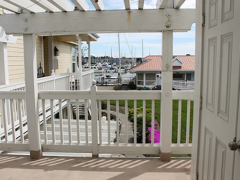 Back patio