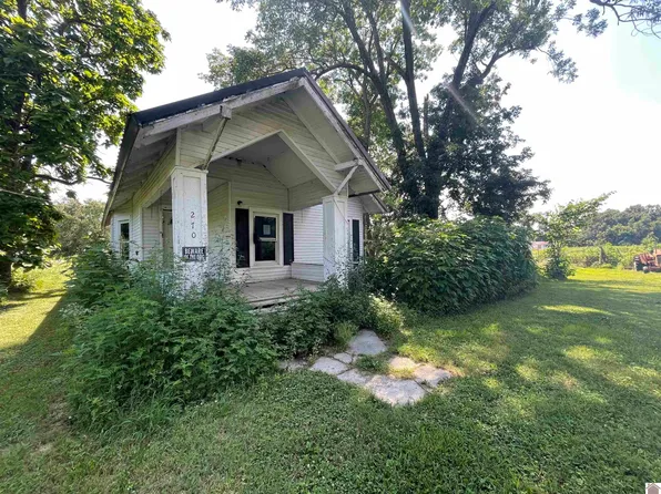 270 Washington Ave, Cerulean, KY 42215