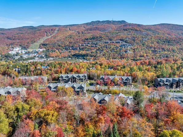 1030 Allae De Verbier #105, Mont Tremblant, QC J8E 1C6