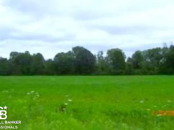 Cribbins Rd, Avoca, MI 48006