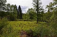 1st image of James Court  Lot 16
