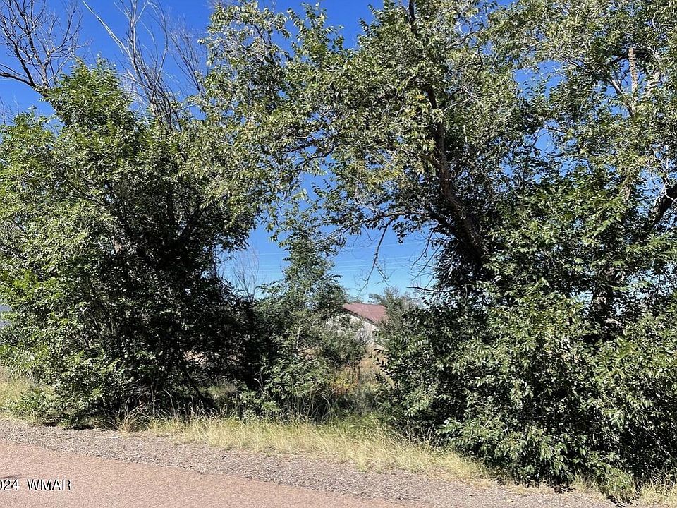 2nd image of Tori Cir