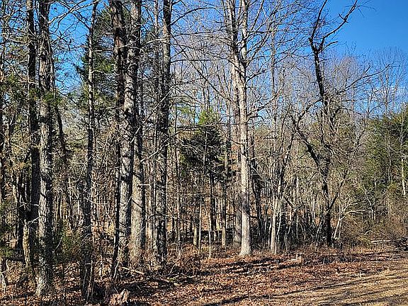 2nd image of 305 Black Forest Ln