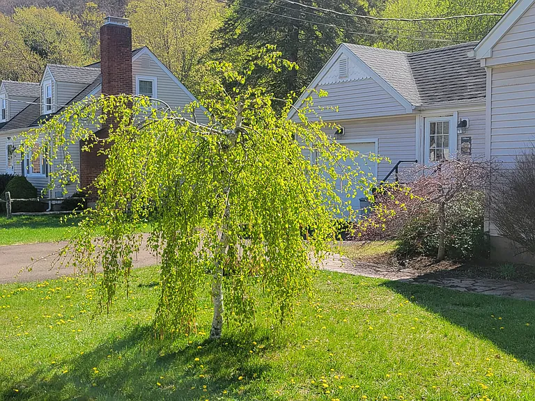 Demeter Dr — Photo 10