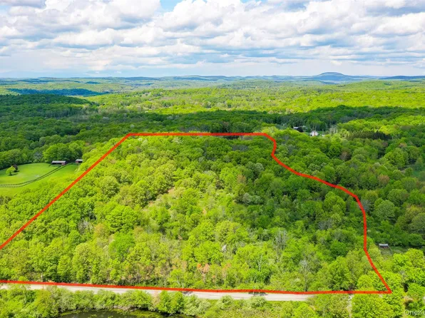 Parcel 1 - TBD Woodstock Road, Millbrook, NY 12545