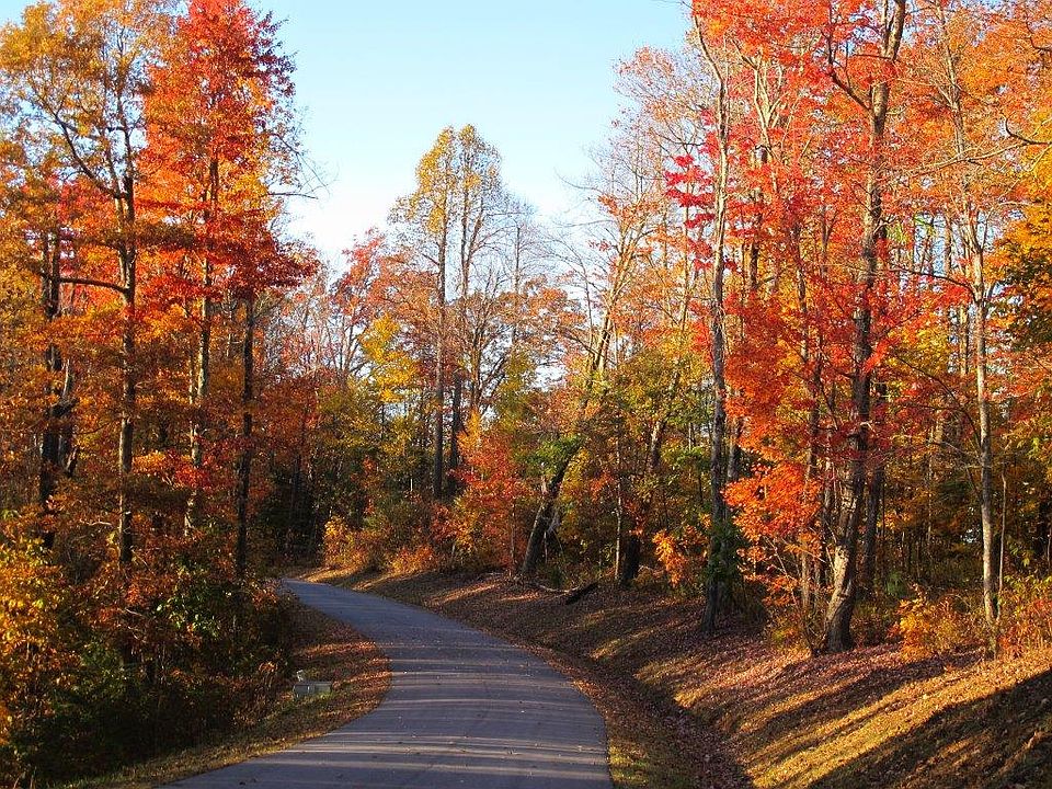 1st image of Rainbow Trout Dr #15