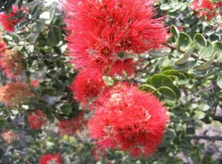 N Tiki Ln LOT 11, Ocean View, HI 96737