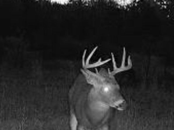 0 S Plain Rd, Caro, MI 48723
