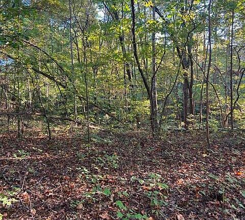 3rd image of 196 Woodstock Dr Lot 176