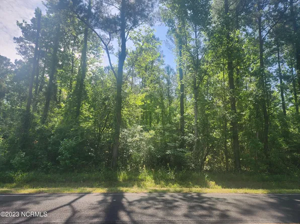 1220 Chinchilla Drive, Bayboro, NC 28515