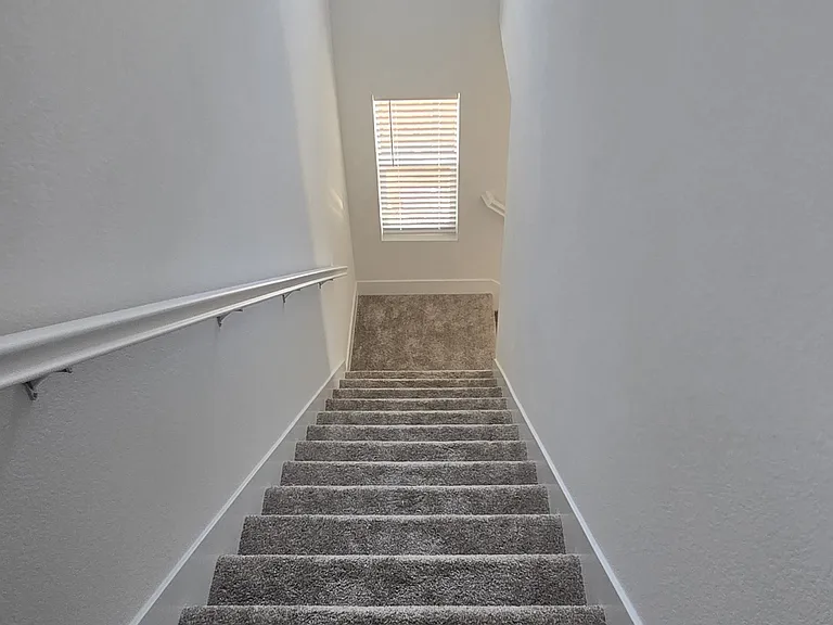 3217 Shrute Dr — Photo 5