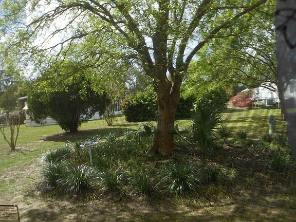 5th image of 3323 NE 14th St Lot C15