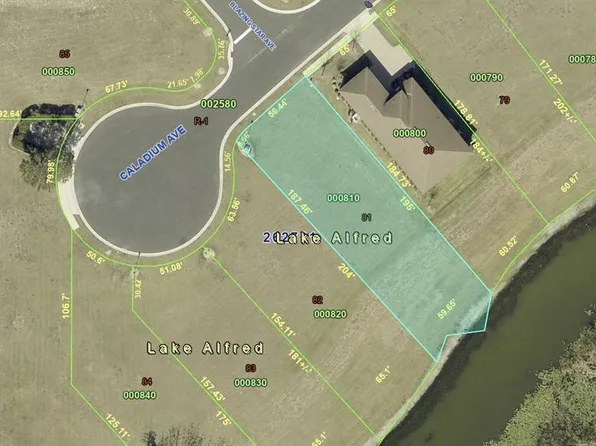 120 CALADIUM AVENUE LOT 81, LAKE ALFRED, FL 33850