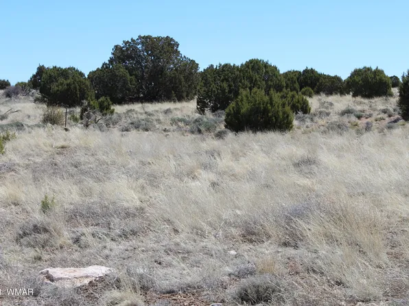 80 County Road 8620, Concho, AZ 85924