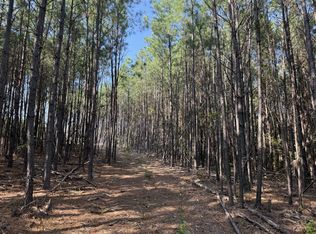 3415 Waynesboro Hwy LOT 193, Hohenwald, TN 38462