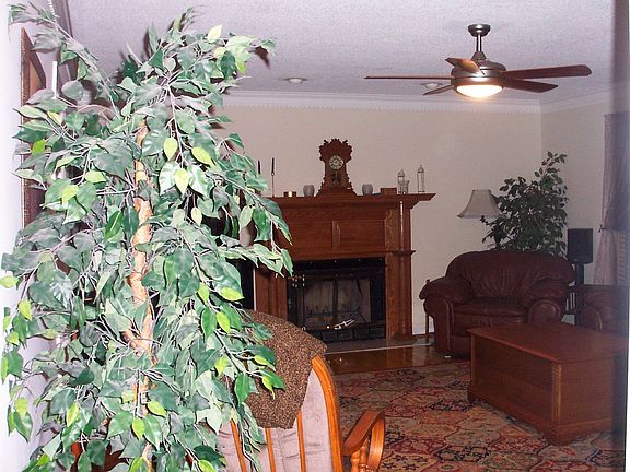 Living Room/Wood Burning Fireplace