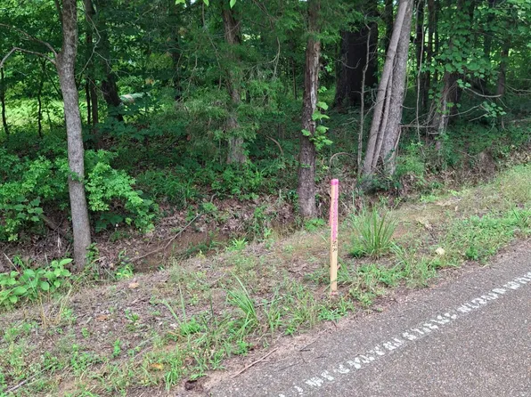 0 Denman Rd, Byhalia, MS 38611
