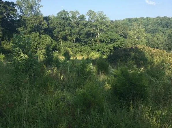 574 Chestnut Ridge Rd, Heiskell, TN 37754