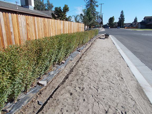 new fence and landscape