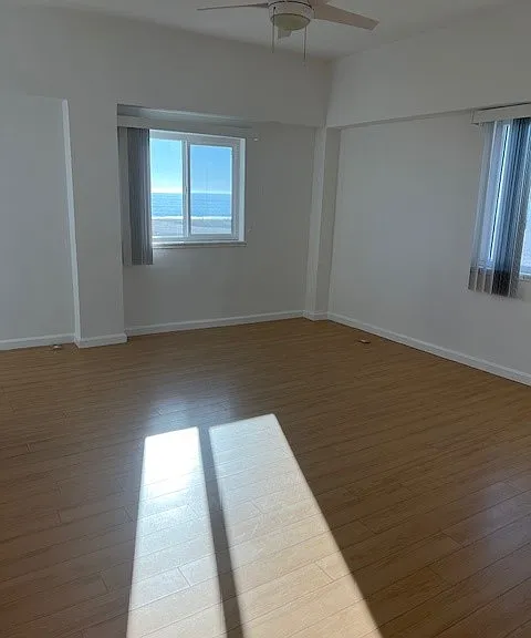 Beach House Apartments — Photo 11