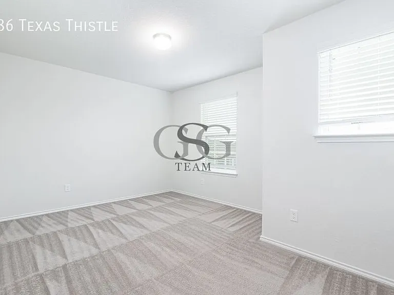 186 Texas Thistle — Photo 11