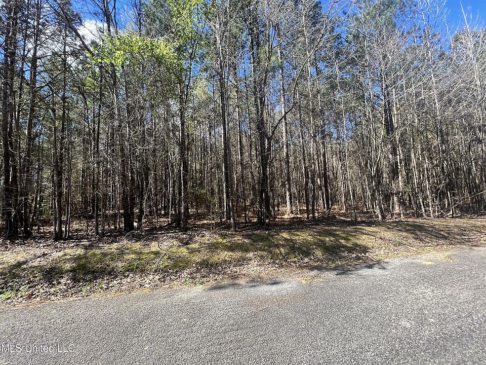 2 Henry Sample Rd, Lena, MS 39094 MLS 4041188 Zillow