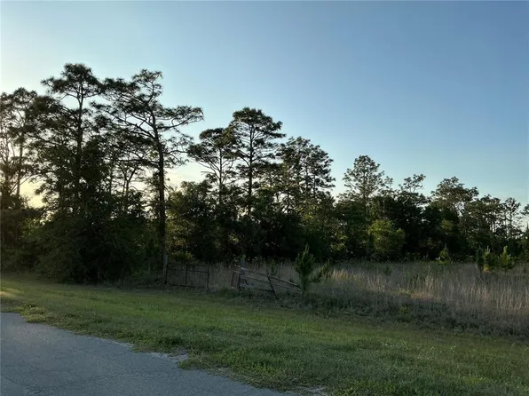 Reynolds Pkwy Lot 241, Orlando, FL 32833