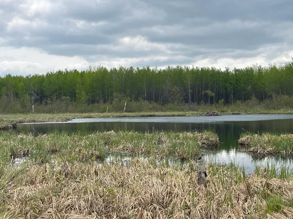 Xxb Swanson Rd, Askov, MN 55704