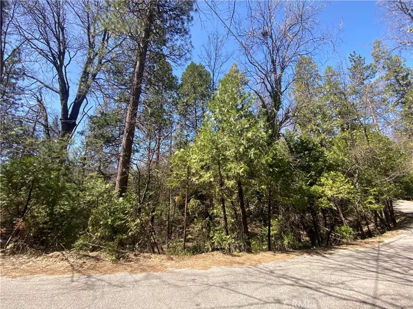 1 Blue Gill #441, Bass Lake, CA 93604