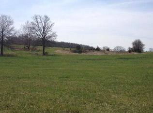 203 Patterson St, Rogersville, MO 65742