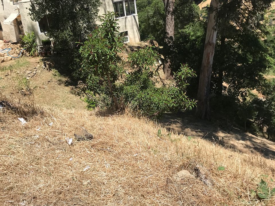 2nd image of Aucas Dr
