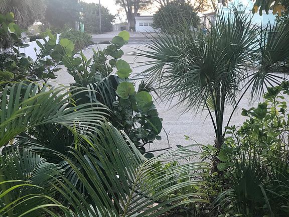 The beach is right there at that puffy tree.