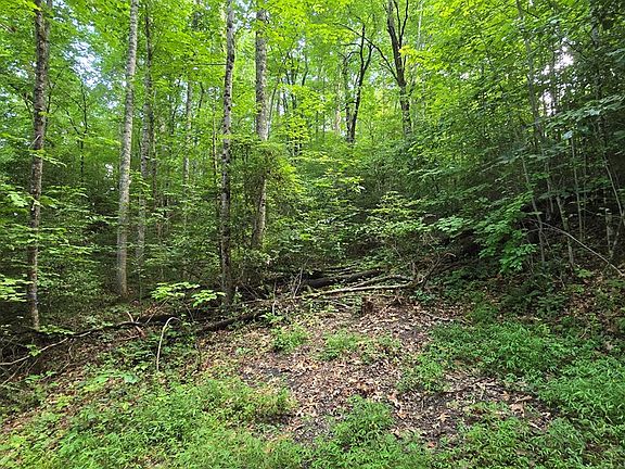 4th image of 14 Kilpatrick Point Ln