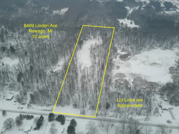 8469 Linden Ave, Newaygo, MI 49337