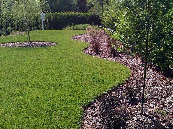 Side yard
