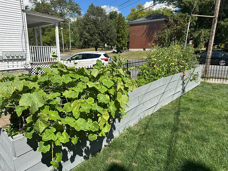 Garden for all tenants