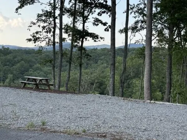 290 Eagle Dr, Ellijay, GA 30540