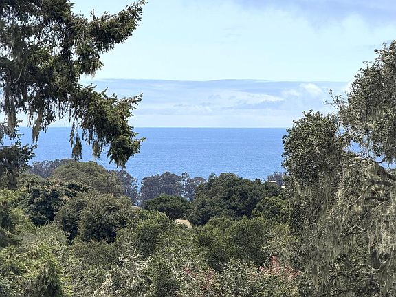 4th image of 360 Babe Thompson Rd