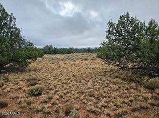 4127 N Windy Walk Way #149, Williams, AZ 86046