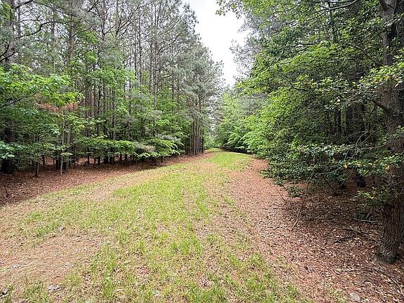 4th image of Taylors Island Rd