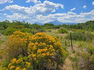 LOT 19 Abeyta Creek Acres, La Veta, CO 81055