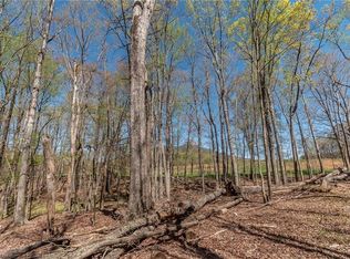 0 Mount Zion Rd TRACT 9, Pinnacle, NC 27043