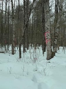 Lot 1 Willow Way, Jefferson, ME, 04348