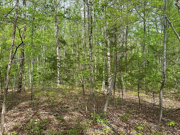 4th image of LOT 8 Lakefront Ln