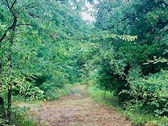 5th image of 9744 Shady Ln